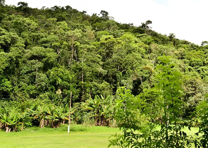 Vale Verde Penedo Hotel